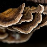 汇旺娱乐平台集团如何打造多元化娱乐生态系统与用户体验 17qkul