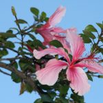 海鸥体育官方网站:为您提供全面的体育赛事直播服务 2351zfv