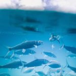 注册送28台子活动详解,抓住机会赢取更多惊喜福利! 53gczfh94