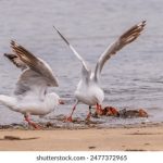 未来展望:196..com在数字时代的创新与挑战 e6vp8b