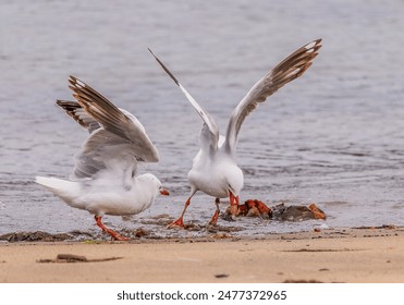 未来展望:196..com在数字时代的创新与挑战