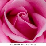 摩根体育下载:最新版本功能解析与使用技巧分享 g94w82j1y