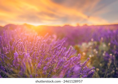 新2足球网站的优势:为何它成为球迷的首选平台