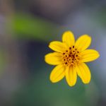 揭秘头彩娱乐平台的安全性与用户体验:值得信赖吗? ybc133n