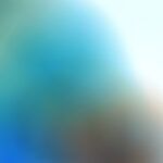 293开奖结果最新公布,今日中奖号码全面揭晓 7qqv7g9jf