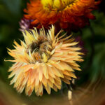 11180最快开奖结果查询与最新中奖信息公布 7rotovc