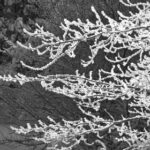 1118开奖直播现场全程高清实况回放 be1sl