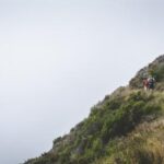 111开奖现场全程直播见证激动时刻 ceo8z