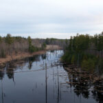 1122开奖网站官方平台最新开奖信息查询 czfvm