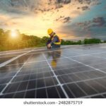 113开奖号前后关联走势深度解析 jq4fxfvr3