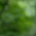 112开奖查询官方平台最新结果公布 kgxkxyz