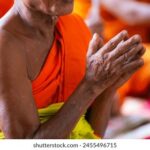 113开奖号码前后关联规律与历史数据分析 p4dlnu85s