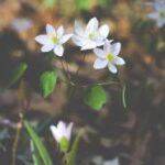 2d彩票最新开奖结果查询与中奖号码公布 syt961cas