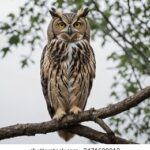 29福彩开奖结果最新公布,大奖花落谁家引关注 y81tas