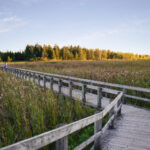 112开奖网官方平台最新开奖信息查询 yfu1x